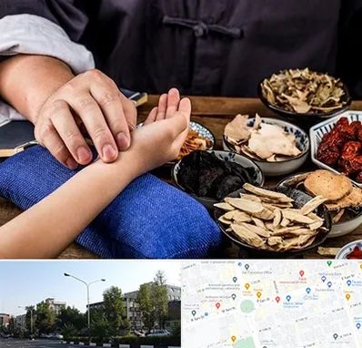 دکتر گیاهی در میدان کاج 