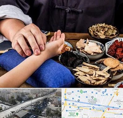 دکتر گیاهی در فرجام 