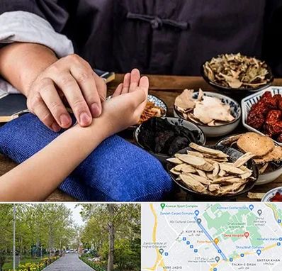 دکتر گیاهی در قدوسی غربی شیراز 