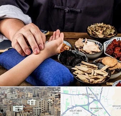 دکتر گیاهی در جنوب شرق تهران