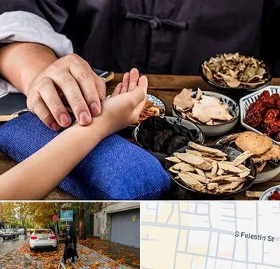 دکتر گیاهی در خیابان فلسطین