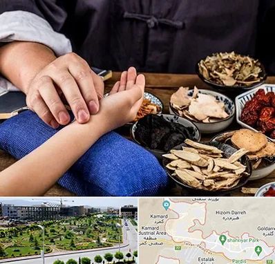 دکتر گیاهی در پردیس