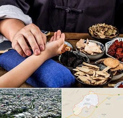 دکتر گیاهی در شاهرود