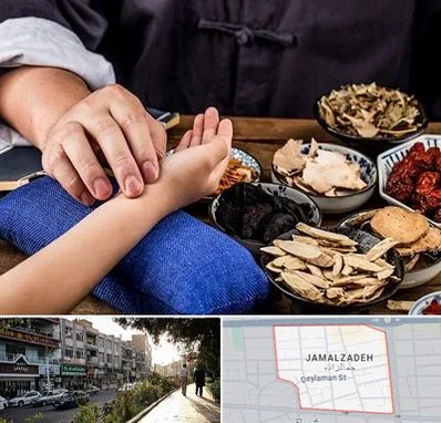 دکتر گیاهی در خیابان جمالزاده