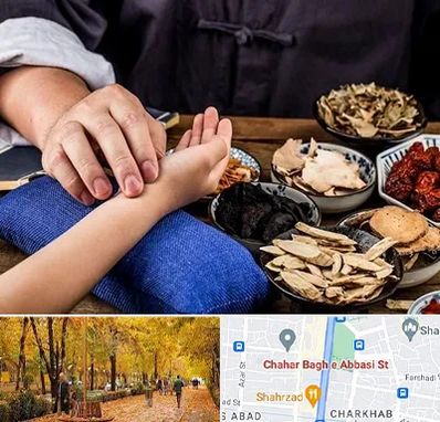 دکتر گیاهی در چهارباغ اصفهان 