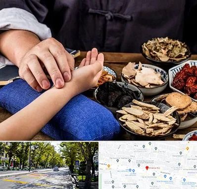 دکتر گیاهی در میرداماد 