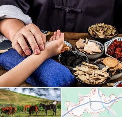 دکتر گیاهی در تالش