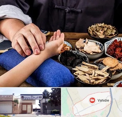 دکتر گیاهی در وحیدیه شهریار