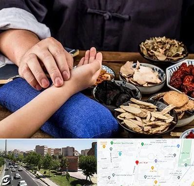 دکتر گیاهی در شهرک آزمایش 