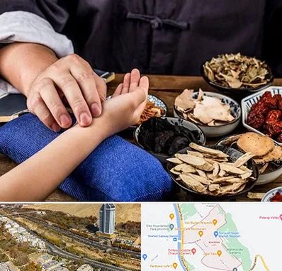 دکتر گیاهی در خیابان نیایش شیراز 