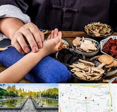 دکتر گیاهی در سرسبز 