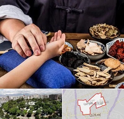 دکتر گیاهی در نیروی هوایی