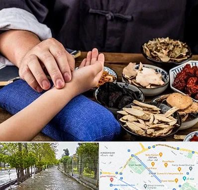 دکتر گیاهی در خیابان ارم شیراز 