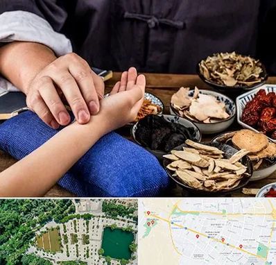 دکتر گیاهی در وکیل آباد مشهد 