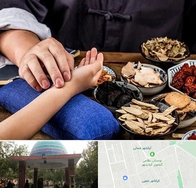 دکتر گیاهی در کیانشهر