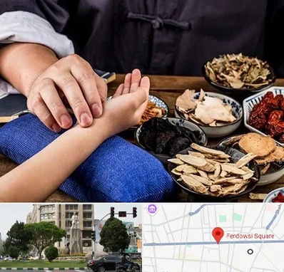دکتر گیاهی در میدان فردوسی تهران