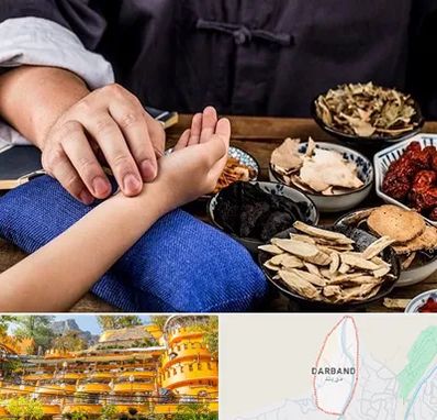 دکتر گیاهی در دربند