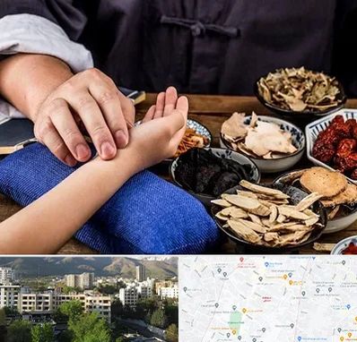 دکتر گیاهی در دیباجی 