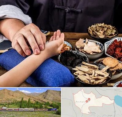 دکتر گیاهی در خاش