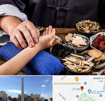 دکتر گیاهی در فلکه گاز شیراز 