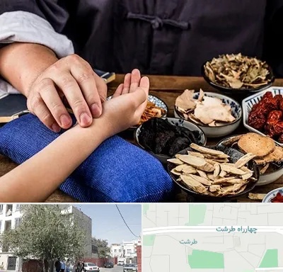 دکتر گیاهی در طرشت