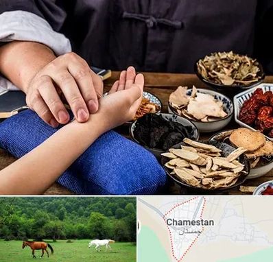 دکتر گیاهی در چمستان