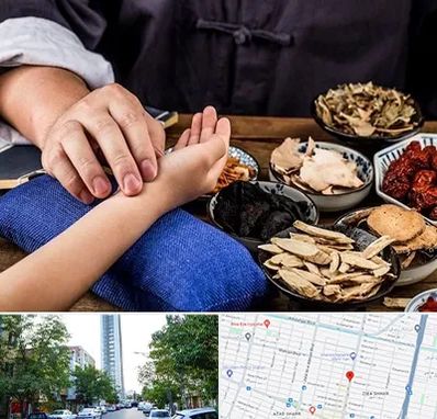 دکتر گیاهی در امامت مشهد 