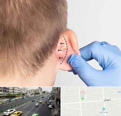 عمل زیبایی گوش در خیابان دامپزشکی