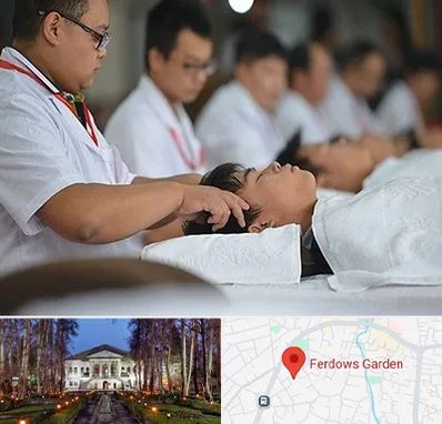 طب چینی در باغ فردوس
