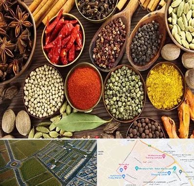 مرکز طب اسلامی در الهیه مشهد 