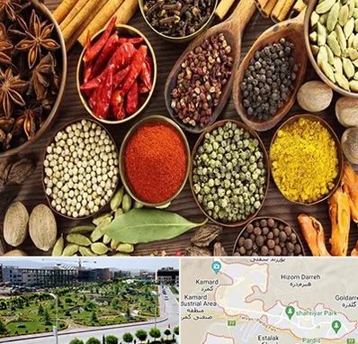 مرکز طب اسلامی در پردیس