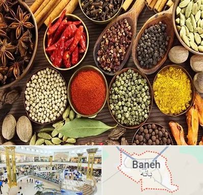 مرکز طب اسلامی در بانه