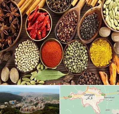 مرکز طب اسلامی در گرگان