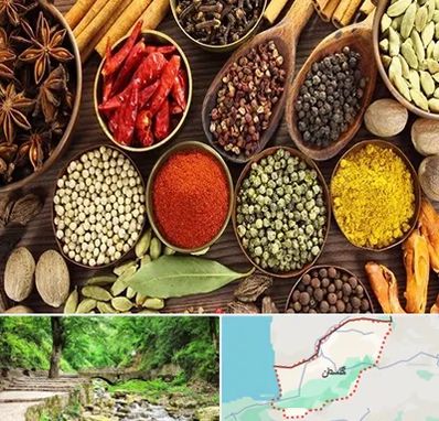 مرکز طب اسلامی در گلستان