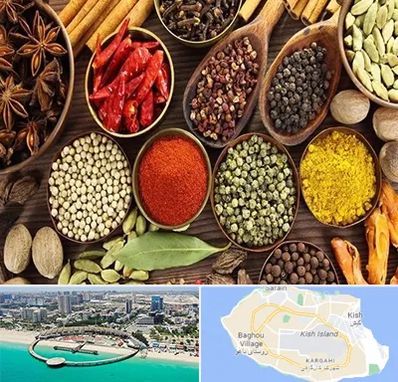 مرکز طب اسلامی در کیش