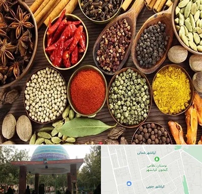 مرکز طب اسلامی در کیانشهر