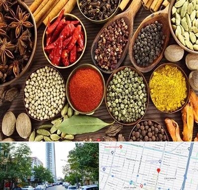 مرکز طب اسلامی در امامت مشهد 