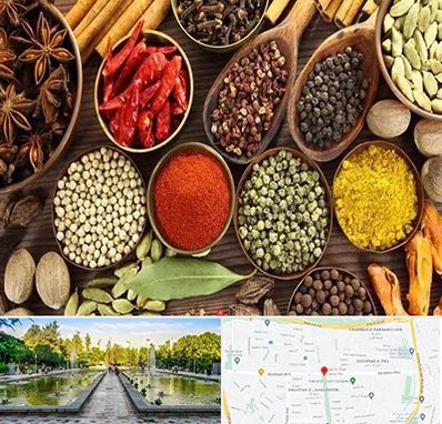 مرکز طب اسلامی در سرسبز 