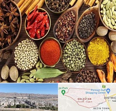 مرکز طب اسلامی در شهرک گلستان شیراز 