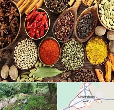 مرکز طب اسلامی در آزادشهر