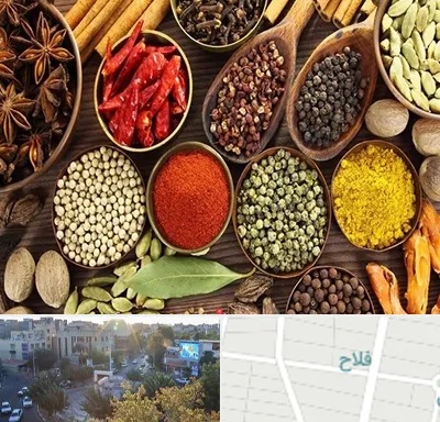 مرکز طب اسلامی در فلاح