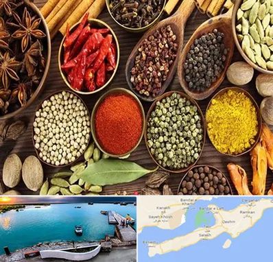 مرکز طب اسلامی در قشم