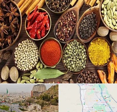 مرکز طب اسلامی در فرهنگ شهر شیراز 