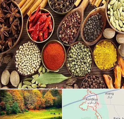 مرکز طب اسلامی در کردکوی