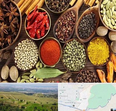 مرکز طب اسلامی در سوهانک