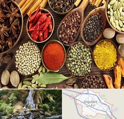 مرکز طب اسلامی در الیگودرز