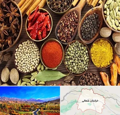 مرکز طب اسلامی در خراسان شمالی