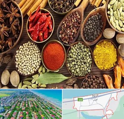 مرکز طب اسلامی در نور