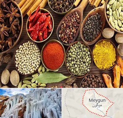 مرکز طب اسلامی در میگون