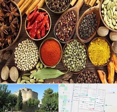 مرکز طب اسلامی در مرداویج اصفهان 